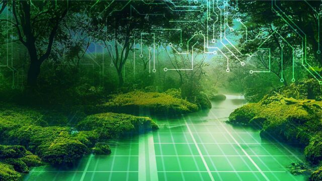Forêt verdoyante composée de buissons, d’une couverture végétale et d’arbres avec des éléments numériques en superposition sur l’image pour représenter le plancher forestier