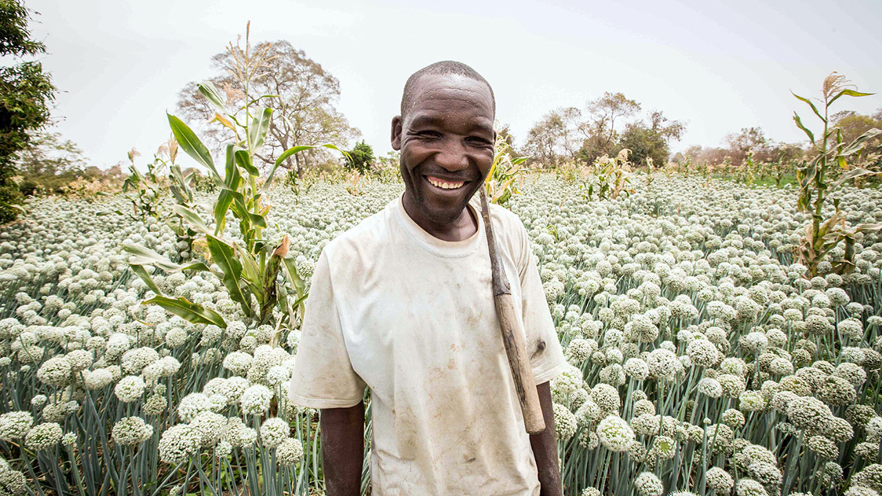 Fermier nigérien dans une exploitation d’oignons à Kaduna