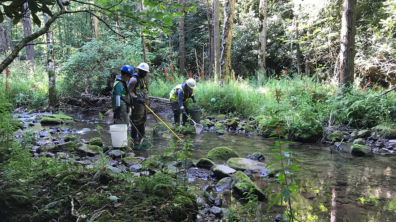 Du personnel de Tetra Tech portant des pantalons-bottes et des casques de sécurité procède à une délimitation de ruisseau dans le cadre d’un projet de centrale hydroélectrique