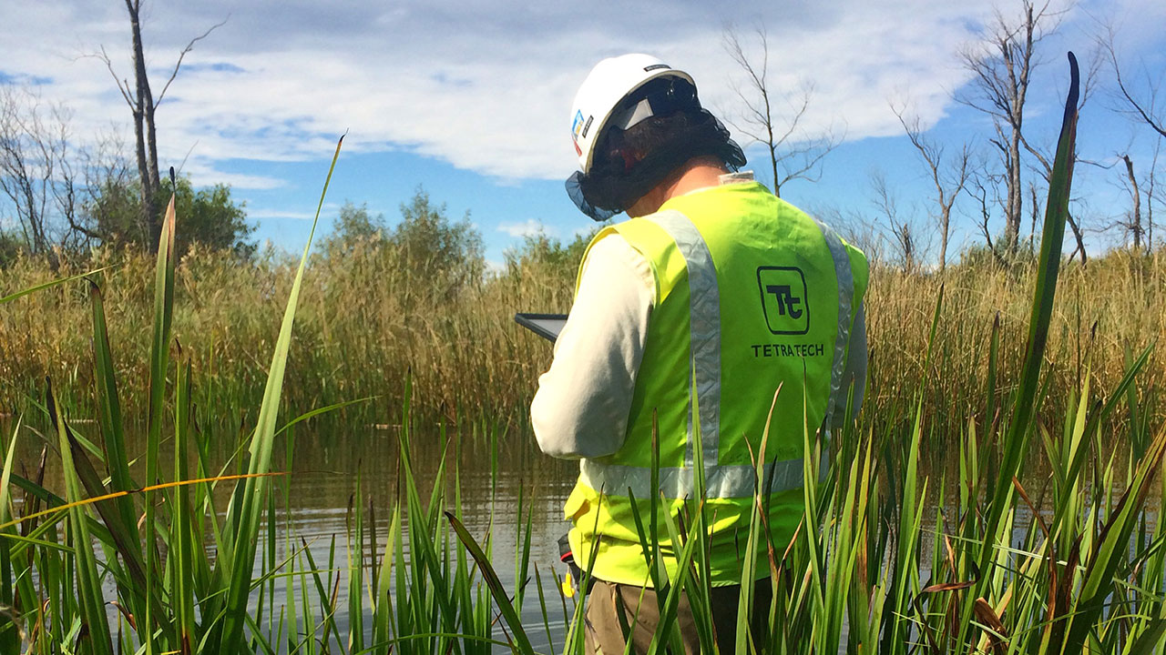 Un employé de Tetra Tech équipé d’un gilet et d’un casque de sécurité recueille des données sur une tablette pendant l’évaluation de terres inondables dans le cadre d’un projet solaire