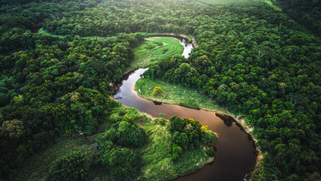 Vue aérienne de la forêt atlantique du Brésil