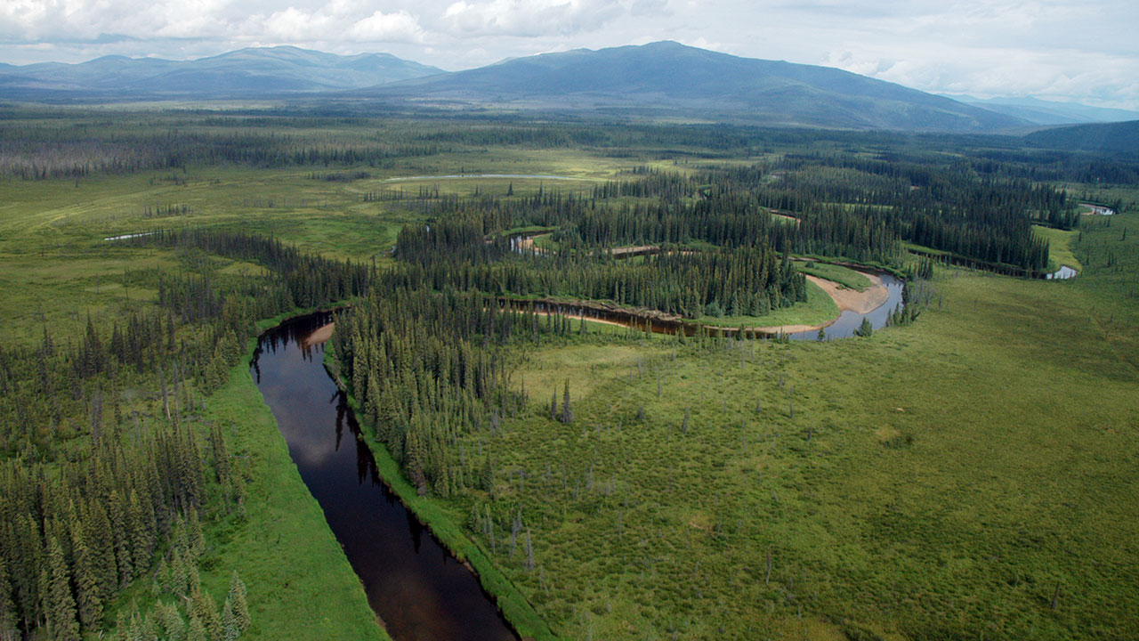 Vue aérienne de la rivière Mosquito Fork et de son bassin versant entre Fairbanks et Dawson City, Alaska