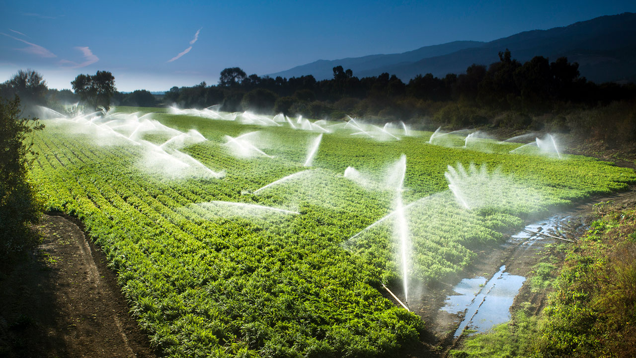 Irrigation par aspersion des cultures sur des terres agricoles fertiles