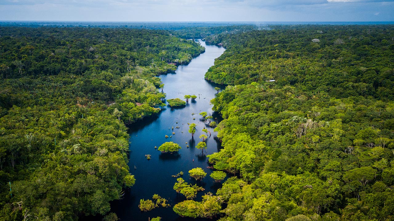 Vue aérienne de la forêt tropicale amazonienne